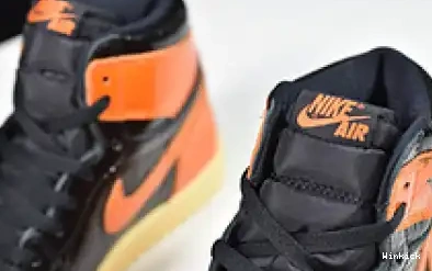 BACKBOARD SHATTERED 3.0 JORDAN 555088-028 AIR 1 0508